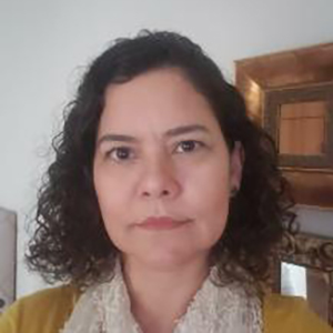 Heloiza Helena Nunes Ferreira